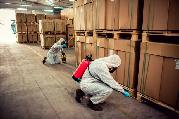 Best Flea Control Services  in Leadwood, MO