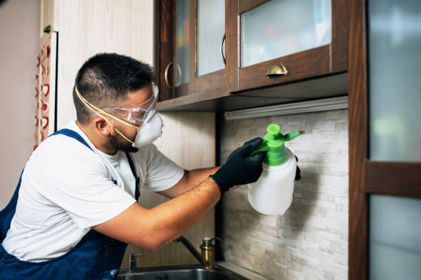 Leadwood, MO Pest Control Company