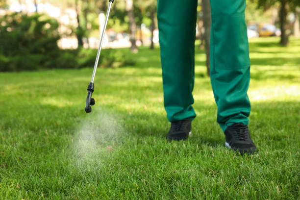 Best Pest Inspection Near Me  in Leadwood, MO