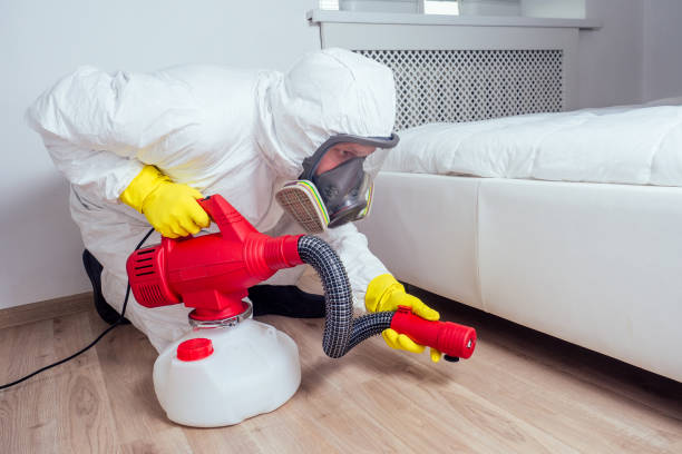 Best Pest Removal Services  in Leadwood, MO