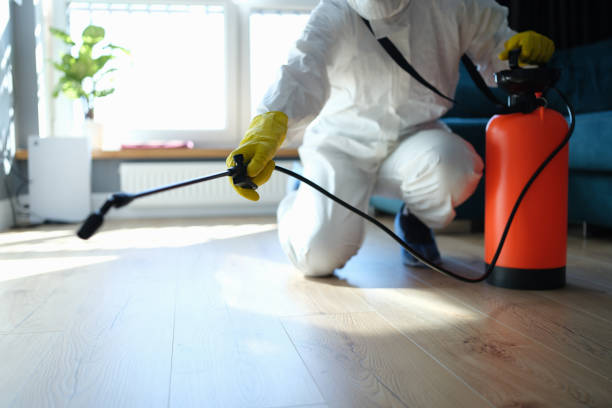 Pest Control Cost in Leadwood, MO