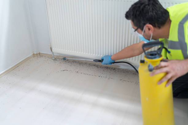 Pest Control for Restaurants in Leadwood, MO