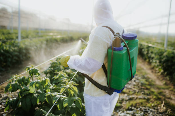 Best Pest Control Near Me  in Leadwood, MO